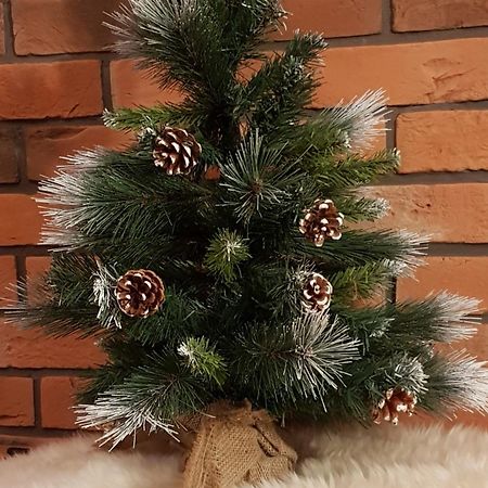 Apartamenty Bachledzki Wierch, Ζακοπάνε Εξωτερικό φωτογραφία
